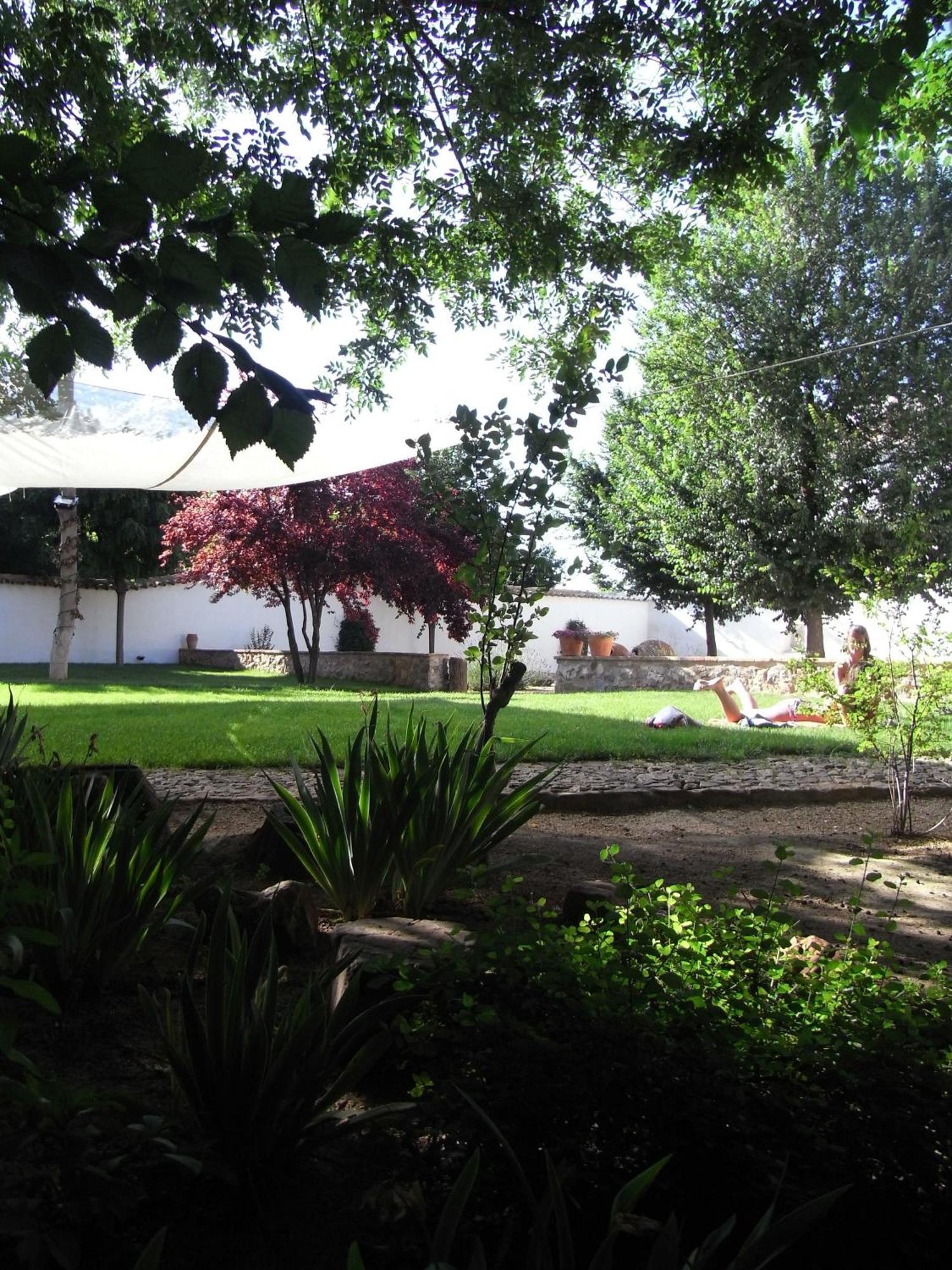 Casa Rural La Alameda Madridejos Luaran gambar