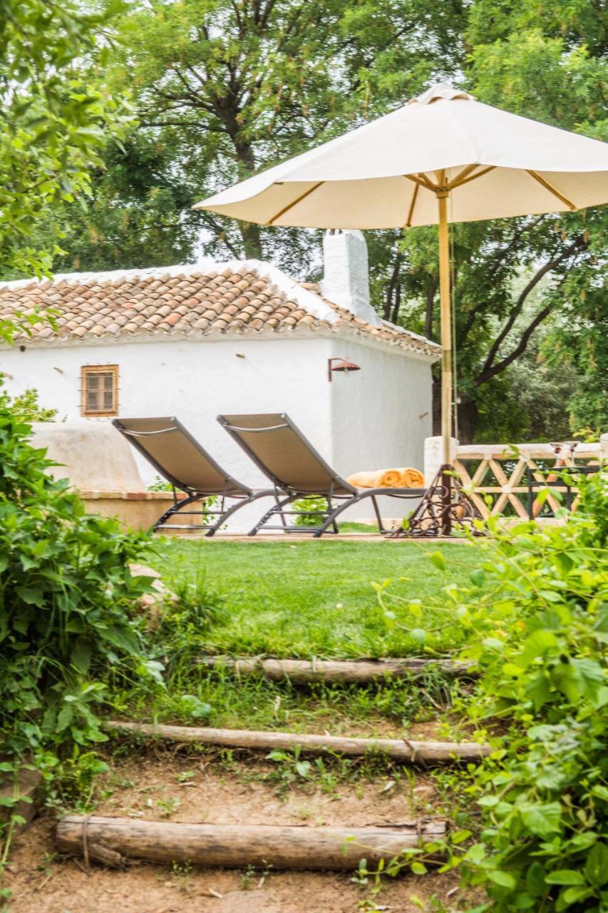 Casa Rural La Alameda Madridejos Luaran gambar