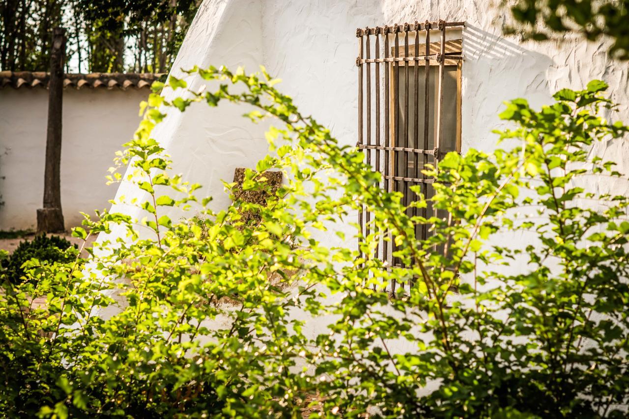Casa Rural La Alameda Madridejos Luaran gambar